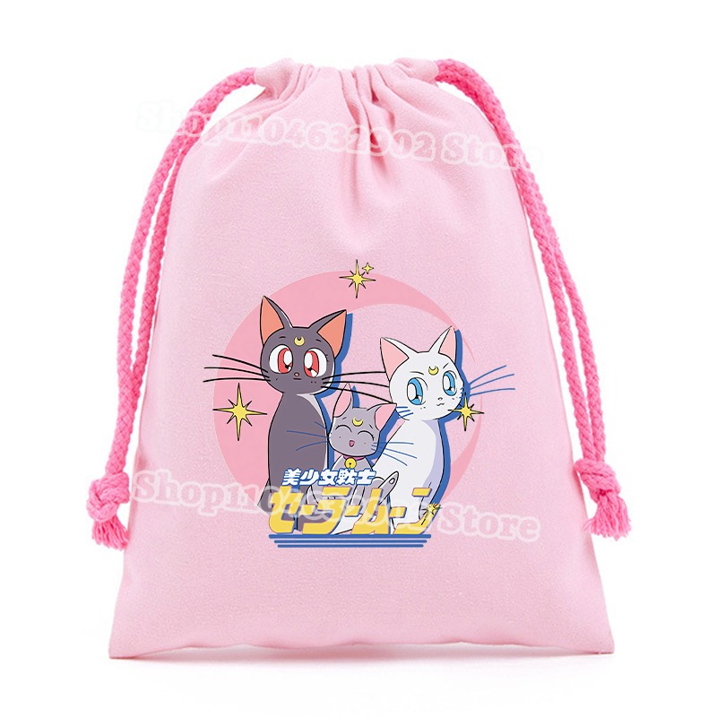 Sailor Moon Small Drawstring P - Party Favor Bag recension och pris